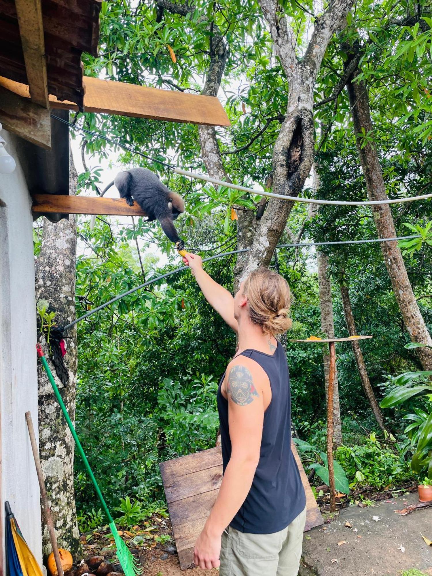 Sky Mountain Cafe With Seaview Bed & Breakfast Weligama Exterior photo